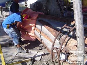 לחיצה להגדלת תמונה Rebound 25  הינו סיליקון חזק מאוד והוא יכול להיחלץ בקלות ללא חשש שיקרע. Rebound 25 מעתיק בצורה מושלמת כל פרט ופרט במודל עץ הפיקוס.