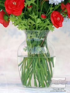 לחיצה להגדלת תמונה בועות אוויר שנלכדו בסיליקון ישתחררו לאחר מספר דקות.