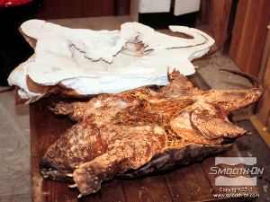 לחיצה להגדלת תמונה לאחר שתבנית הגומי סיליקון Mold Max 30 ומעיל התמיכה מפיבר גלאס מתמצקים לגמרי, חולצים את המודל המקורי.