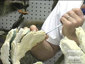 לחיצה להגדלת תמונה לאחר שמעיל התמיכה התמצק לגמרי, מפרידים ומסירים את חלקיו מתבנית הסיליקון Dragon Skin.