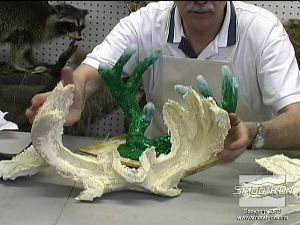 לחיצה להגדלת תמונה לאחר שמעיל התמיכה התמצק לגמרי, מפרידים ומסירים את חלקיו מתבנית הסיליקון Dragon Skin.