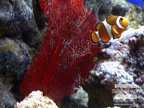 לחיצה להגדלת תמונה מניפת הים הקשיחה למחצה מפוליאורתן Smooth-Cast® 60D מתנועעת כמו מניפת ים אמיתית בזרמים שבאקווריום ולא ניתן להבחין ביניהם. יציקת הפוליאוריתן Smooth-Cast® 60D הקשיחה למחצה בטוחה לאקווריום ותחזיק שנים.