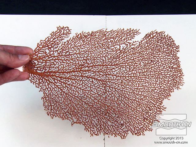 המודל המקורי הוא מניפת ים יבשה עם פרטים מורכבים ועדינים. מידותיה הם 28 ס"מ (גובה) על 18 ס"מ (רוחב).