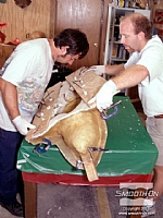 מסובבים את התבנית כדי לפזר את הפוליאוריתן הנוזלי Smooth-Cast® 320 באופן אחיד עד שיתמצק ויצור מעטפת אחידה (תהליך יציקה ברוטציה - Rotational Molding).