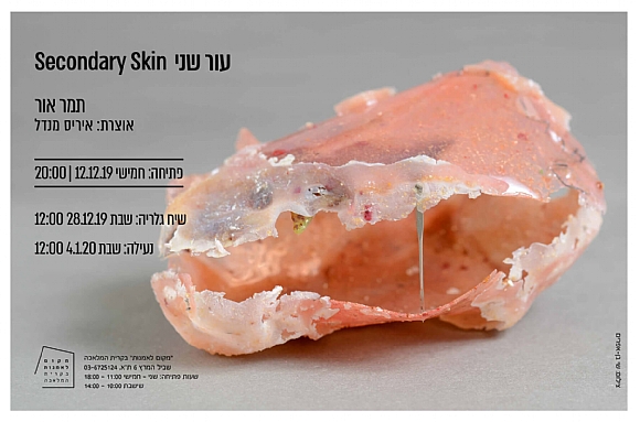 לחיצה להגדלת תמונה מיצג 