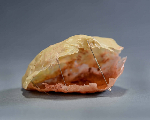 לחיצה להגדלת תמונה האובייקטים נעשו בעזרת יצירת תבניות עם Mold Max 14 של האובייקט הראשוני, ולאחר מכן מריחה של XTC או Epsilon