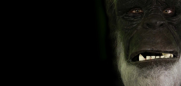 לחיצה להגדלת תמונה דיוקן קוף מרשים בהשארת הסרט 