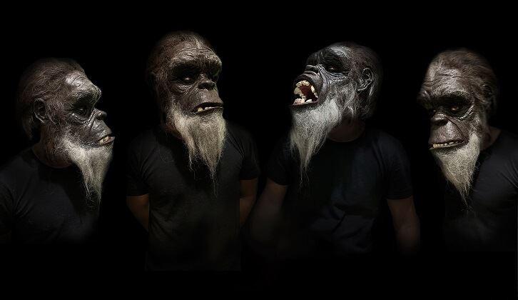 דיוקן קוף מרשים בהשארת הסרט "אודיסאה בחלל 2001" - יותם ירד