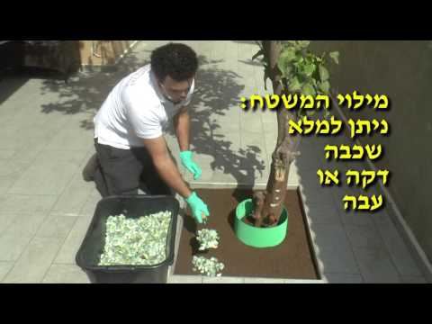 בניה דקורטיבית