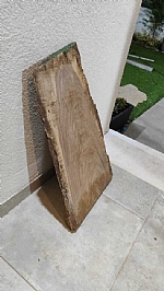 בחירת העץ לעבודה