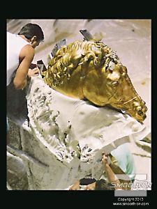 לחיצה להגדלת תמונה מסירים את תבנית הגומי מהמודל. ניתן לראות שכל הפרטים המורכבים במודל הועתקו לתבנית הגומי של Smooth-On.