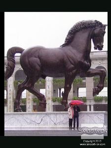 לחיצה להגדלת תמונה יציקת הברונזה הגמורה הגיעה למילאן, איטליה בסתיו 1999 ונמצאת מאז במרכז לרכיבה על סוסים - 500 שנה לאחר שליאונרדו דה וינצ'י הציג את המודל שלו לדוכס העיר.