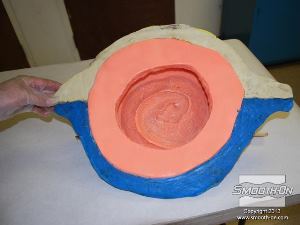 לחיצה להגדלת תמונה כעת מחזירים את התבנית אל תוך מעיל התמיכה.