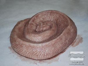 לחיצה להגדלת תמונה היציקה צבועה בשכבת בסיס.