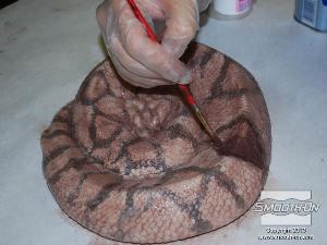 לחיצה להגדלת תמונה משתמשים במספר שכבות נוספות של סיליקון  Psycho Paint עם פיגמנט שחור, חום ולבן, כדי ליצור את הפרטים שיגרמו לנחש להראות מציאותי ביותר!