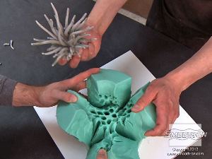 לחיצה להגדלת תמונה שושנת הים המקורית נחלצה בהצלחה מתבנית הסיליקון Mold Star® 15. תבנית הסיליקון העתיקה במדוייק את פרטי המודל המקורי.