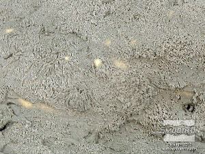 לחיצה להגדלת תמונה מבט מקרוב על מרקם החימר.