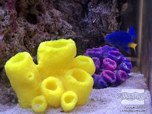 לחיצה להגדלת תמונה ניתן להכין מגוון רחב של יצורים מימיים עבור האקווריום. ראה את הגלריה והסרטונים הנוספים באתר כדי ללמוד כיצד.