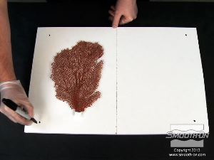 לחיצה להגדלת תמונה כעת מניחים את המודל במרכז הלוח השמאלי ומסמנים בשתי נקודות נוספות בפינות החיצוניות של חצי הלוח.