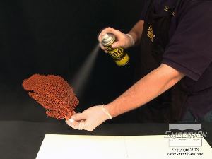 לחיצה להגדלת תמונה בגלל שלמניפת הים יש פרטים מאוד קטנים ועדינים, מרססים חומר הפרדה בין סיליקון לסיליקון Ease Release 200 על שני צידי המודל ומכסים אותו לגמרי בחומר.  כך מבטיחים שתבנית הסיליקון Equinox® 40 תרד בקלות מהמודל.