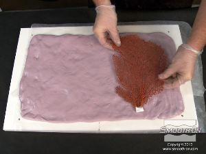 לחיצה להגדלת תמונה מניחים את מודל מניפת הים המקורי על חצי הלוח הימני של תבנית בצק הסיליקון Equinox® 40.