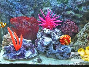 לחיצה להגדלת תמונה ניתן ליצור מגוון עצום של יצירות נוספות בעזרת חומרי הפלסטיק, גומי וקצף של חברת Smooth-On. צפו בסרטונים ובגלריות הנוספות שלנו כדי ללמוד איך.