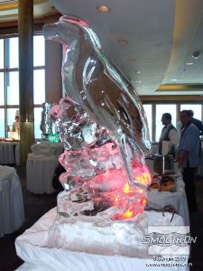 לחיצה להגדלת תמונה ארנסטו אומר ש