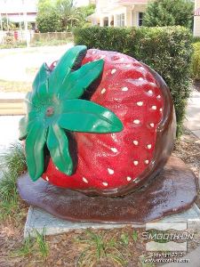 לחיצה להגדלת תמונה ציפוי הStyrocoat® מעניק למודל חוזק אימפט טוב ובנוסף, מאפשר את צביעתו בבצע עמיד וחסין לUV שיחזיק מעמד לזמן רק בשמש החזקה של פלורידה.