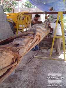 לחיצה להגדלת תמונה ההכנה כוללת גילוף עודפי עץ מיותרים, ליטוש וניקוי הגזע